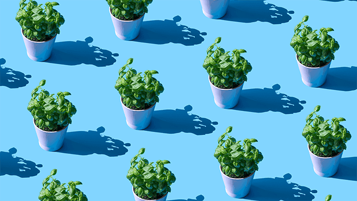 Environmental Science