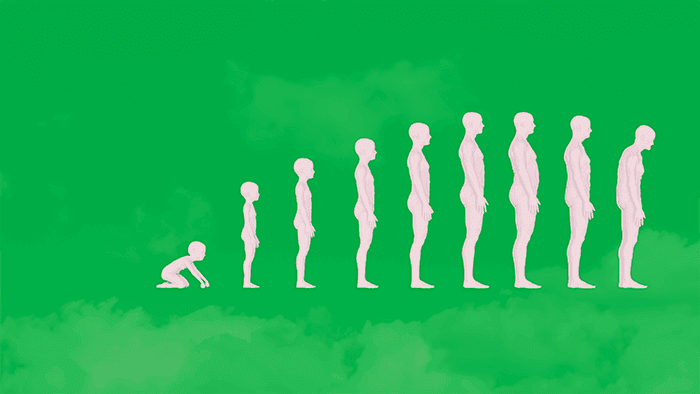 lifespan-development